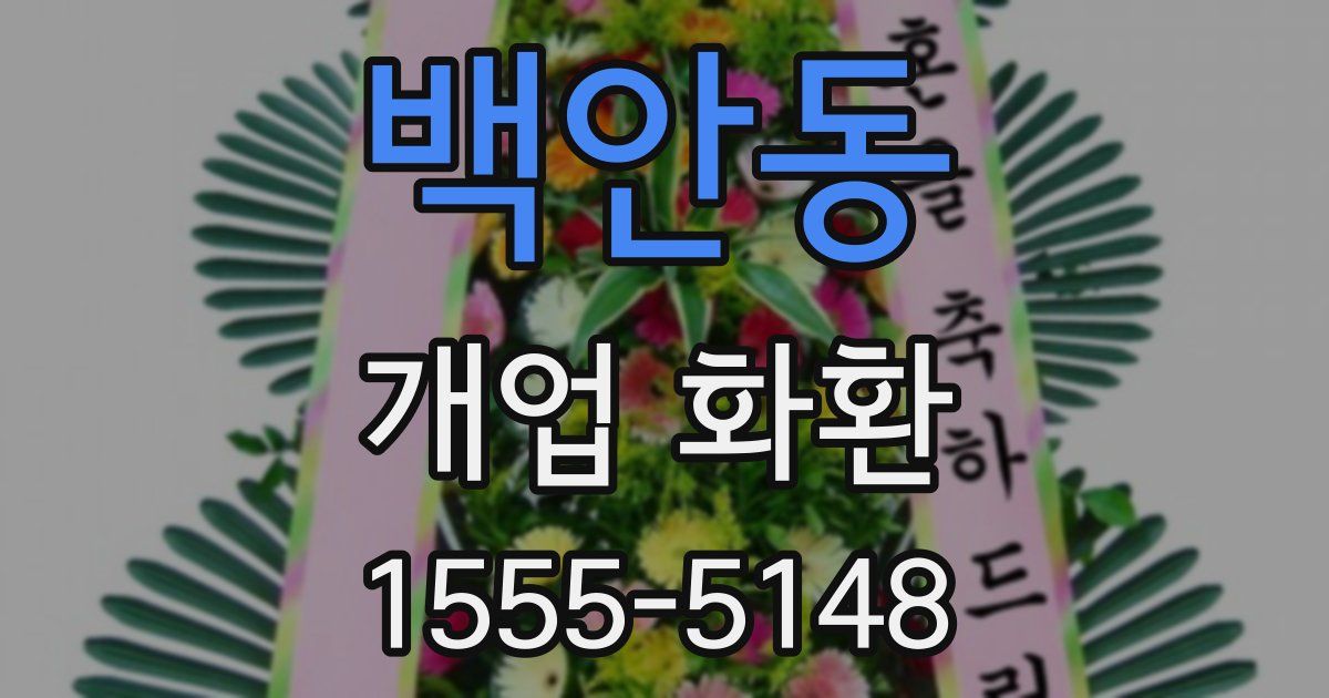 백안동 개업 화환