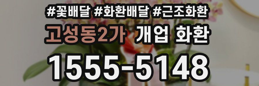 고성동2가 개업 화환