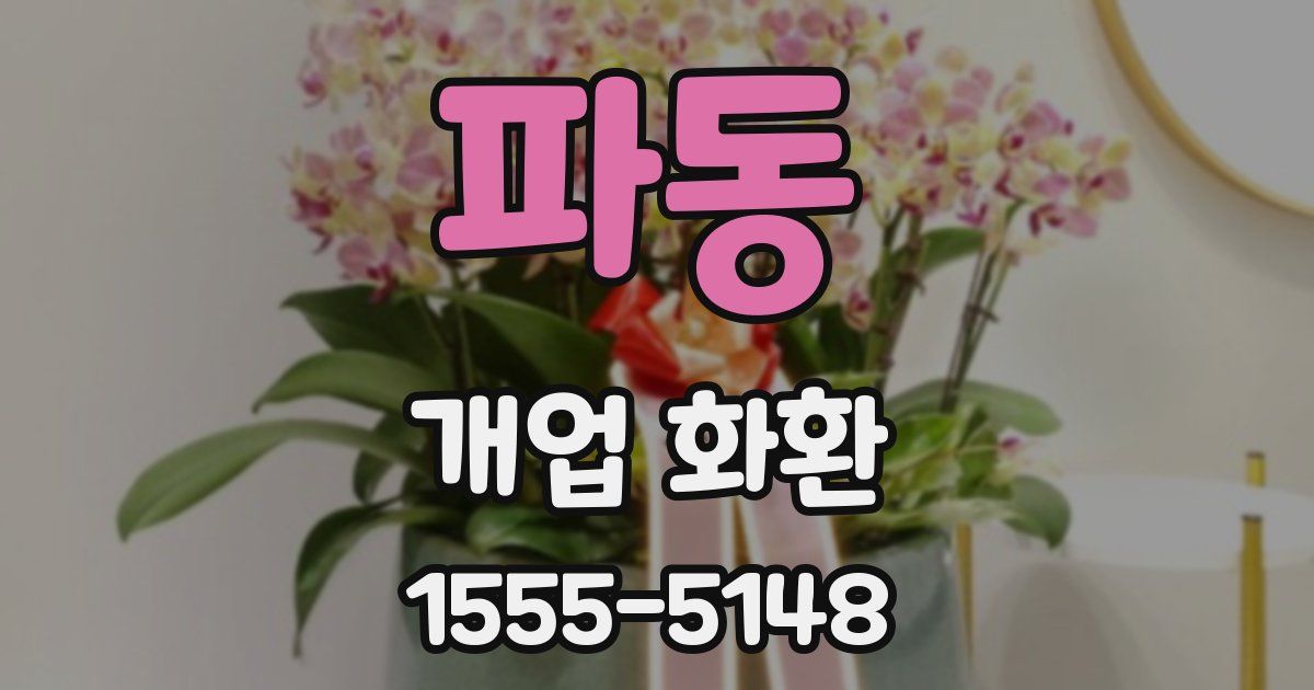 파동 개업 화환