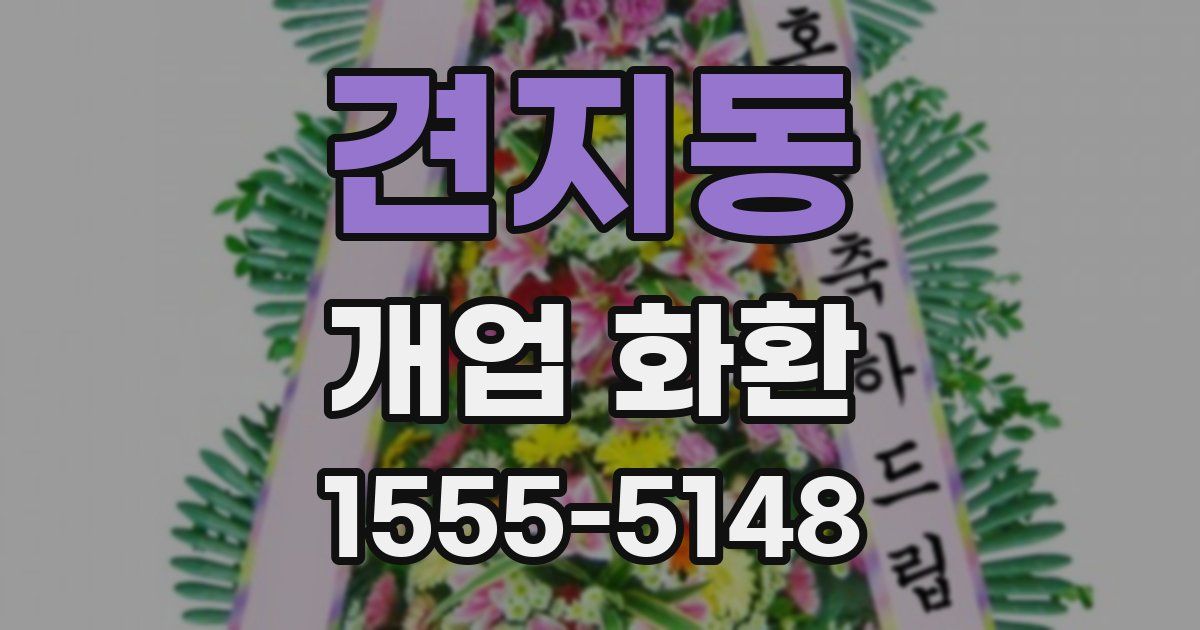 견지동 개업 화환