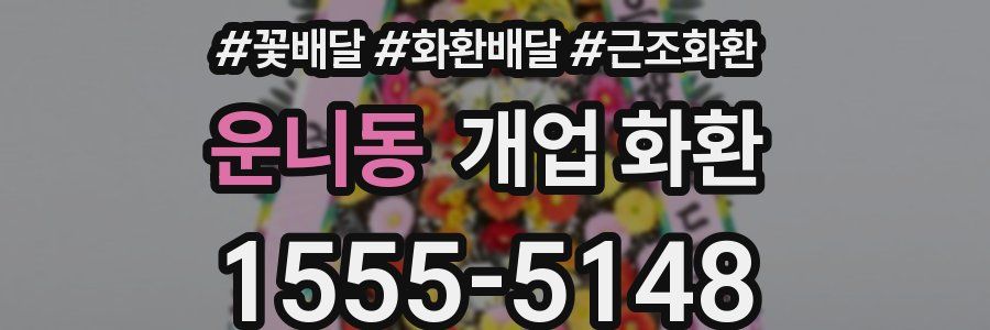 운니동 개업 화환