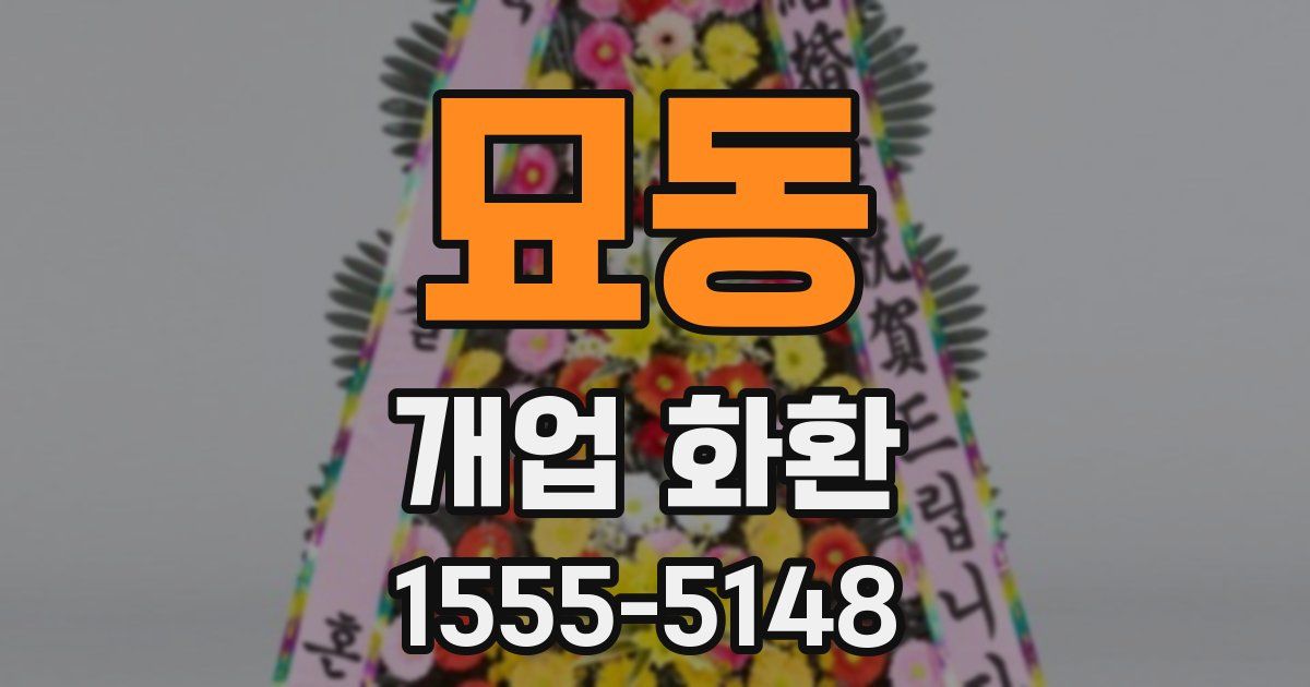 묘동 개업 화환