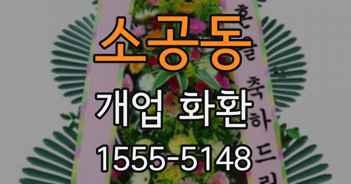 소공동 개업 화환