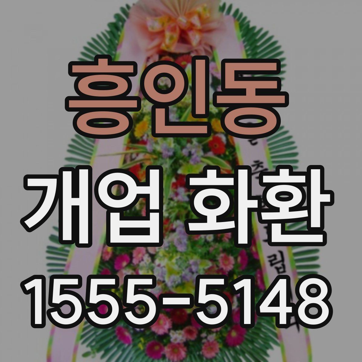 흥인동 개업 화환 화분과 비교해 볼 만한 선택지