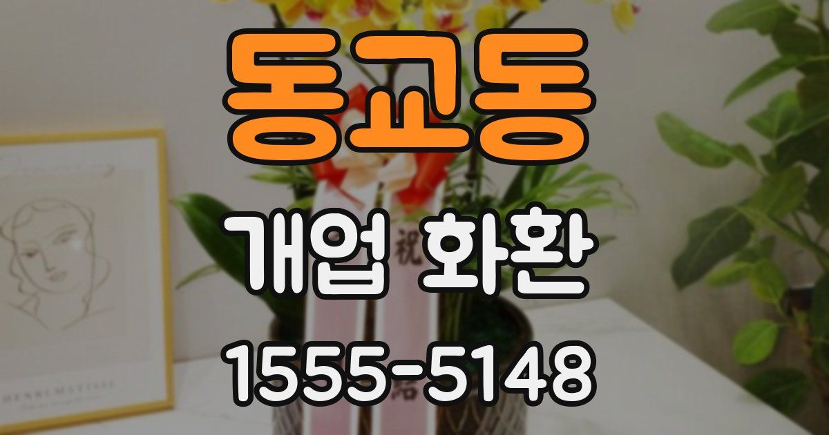 동교동 개업 화환