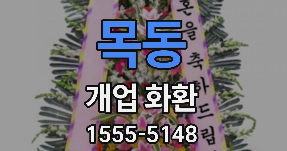 목동 개업 화환