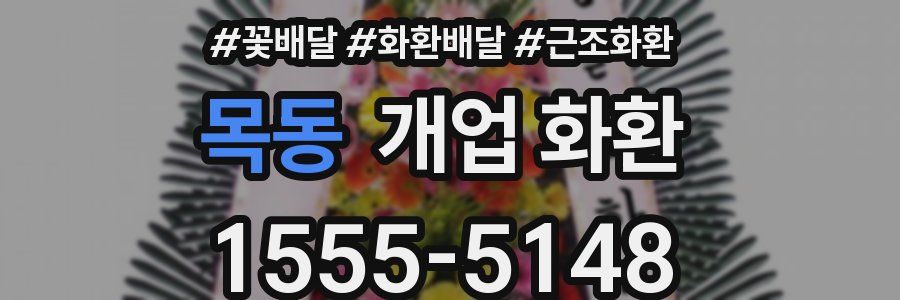 목동 개업 화환