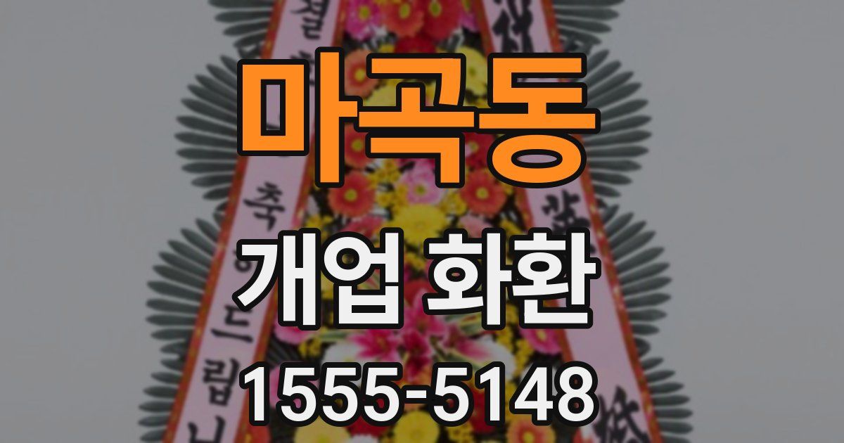 마곡동 개업 화환