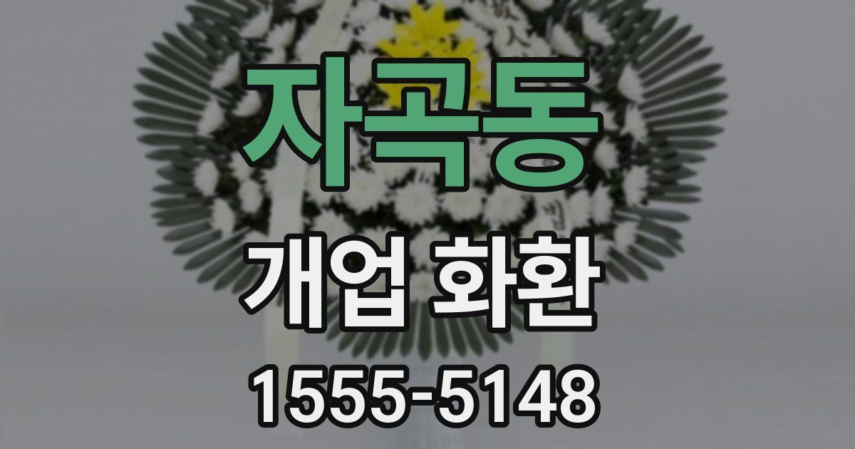 자곡동 개업 화환
