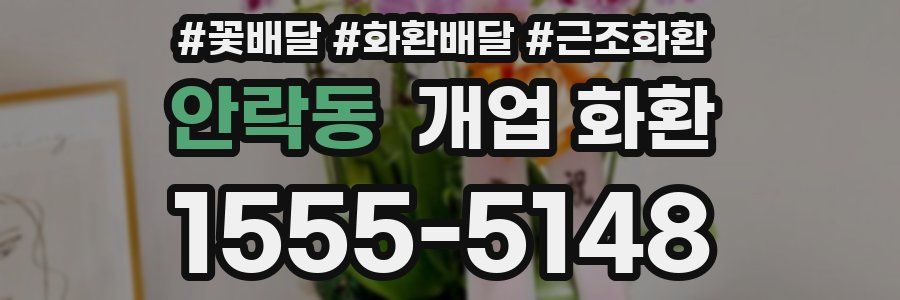 안락동 개업 화환
