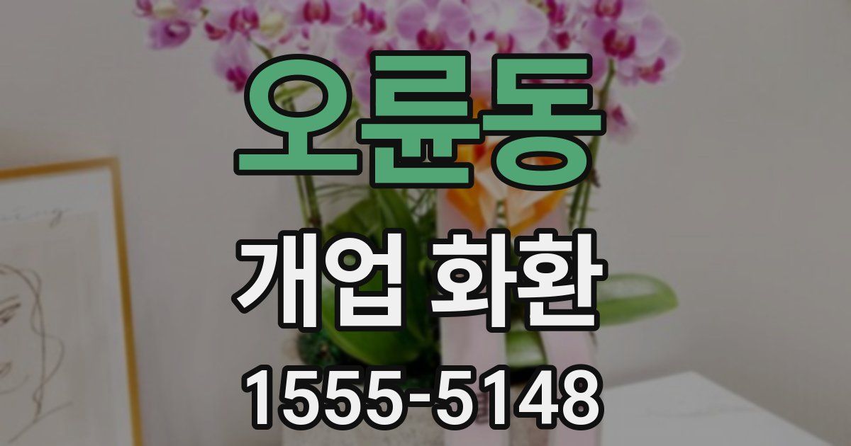 오륜동 개업 화환