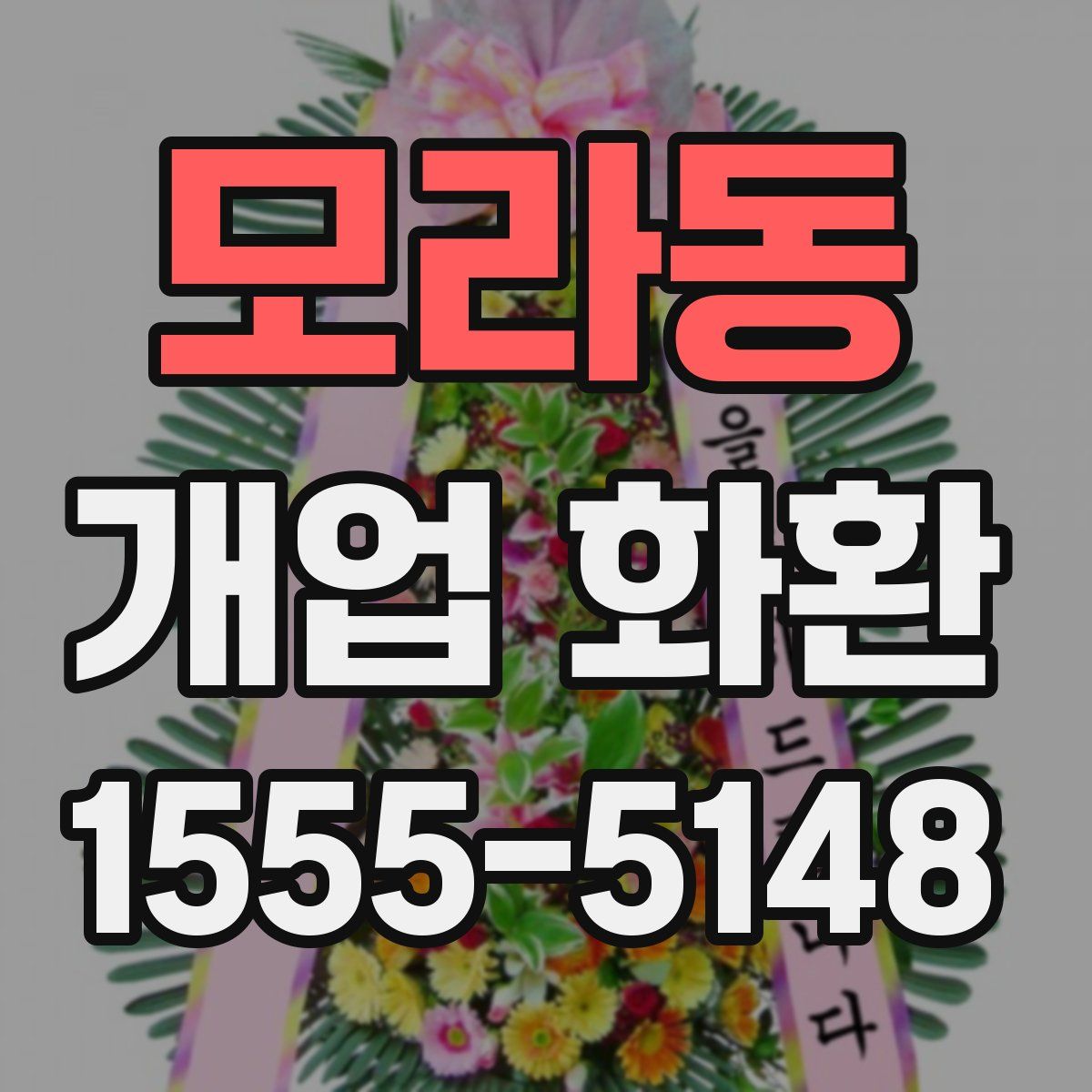 모라동 개업 화환