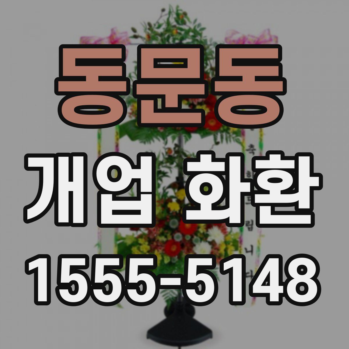 동문동 개업 화환