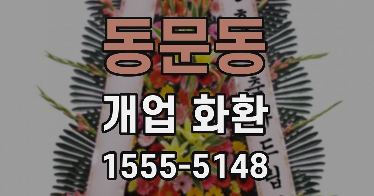 동문동 개업 화환