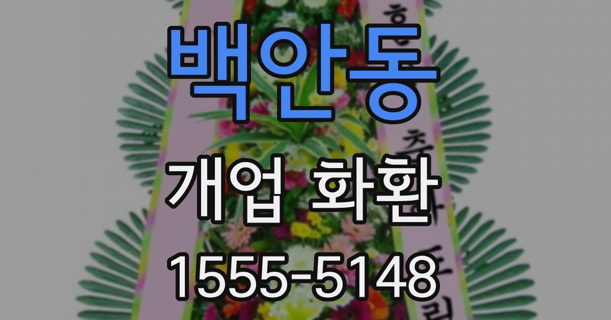 백안동 개업 화환