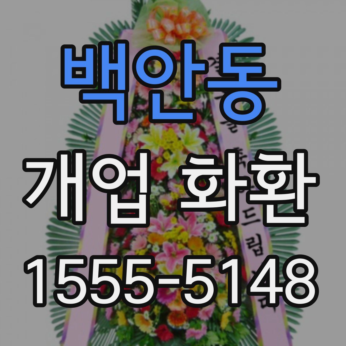 백안동 개업 화환