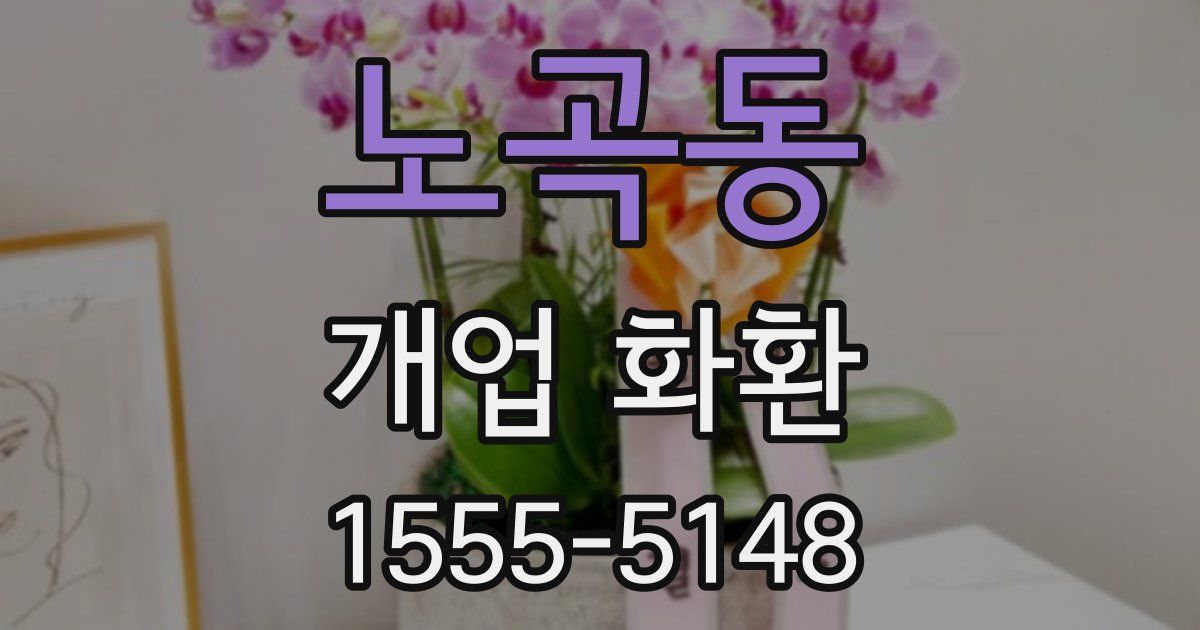 노곡동 개업 화환