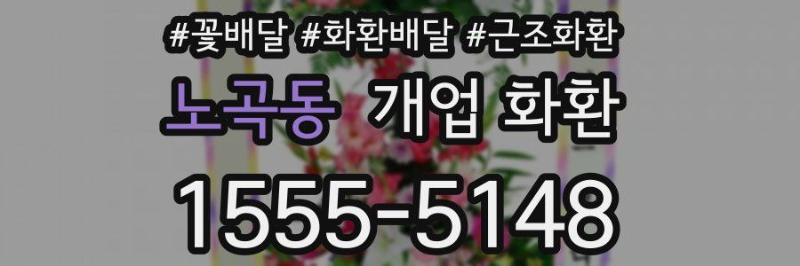노곡동 개업 화환