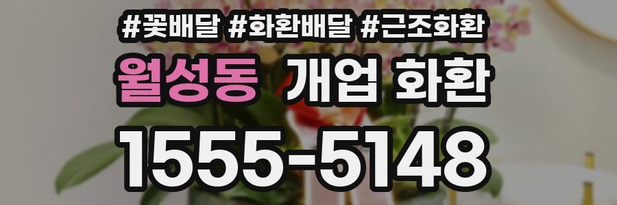 월성동 개업 화환