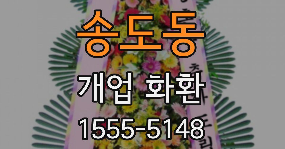 송도동 개업 화환