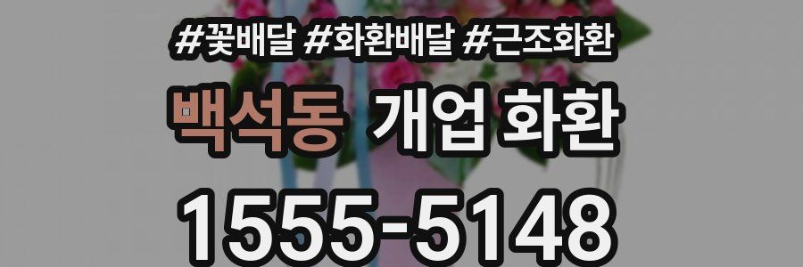 백석동 개업 화환