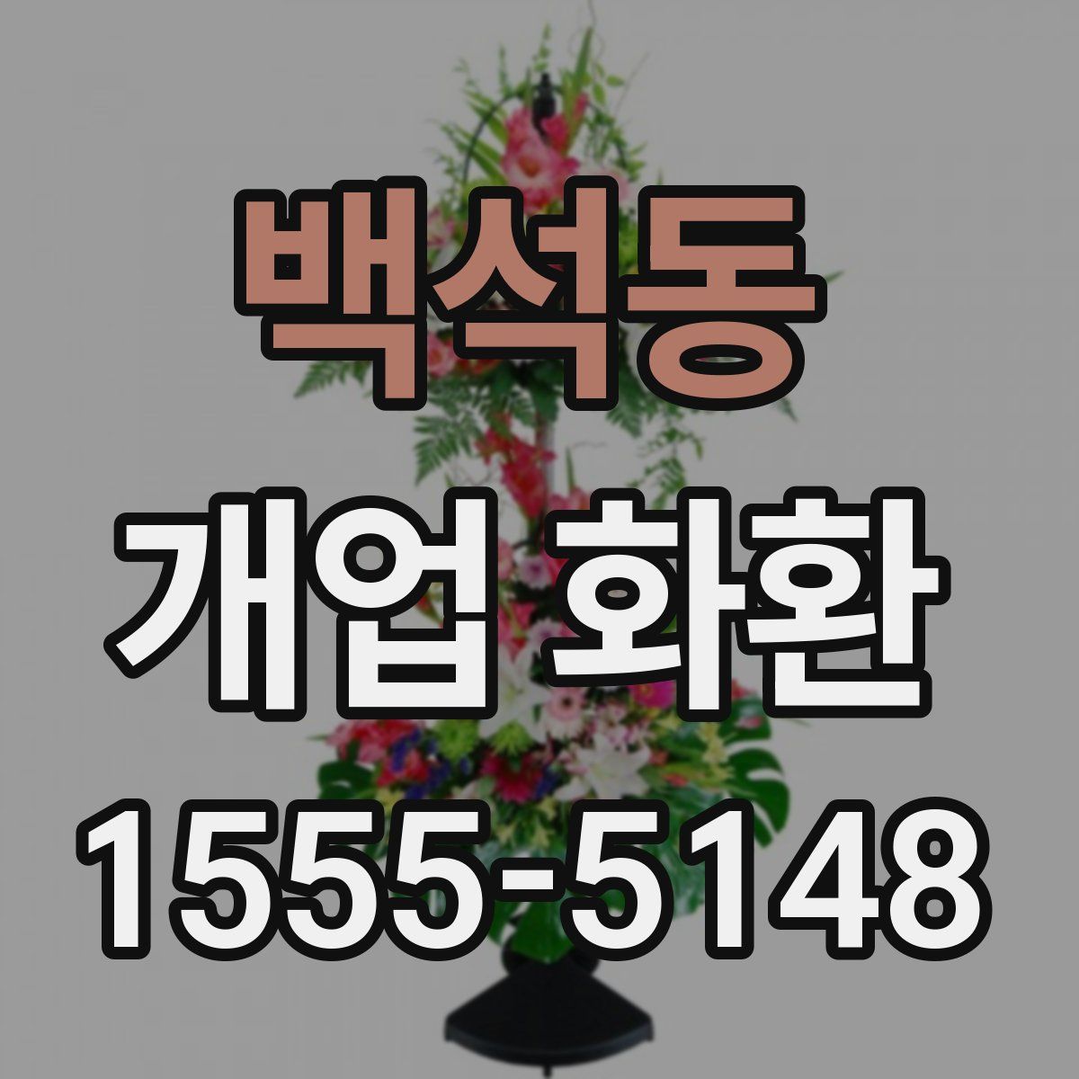 백석동 개업 화환