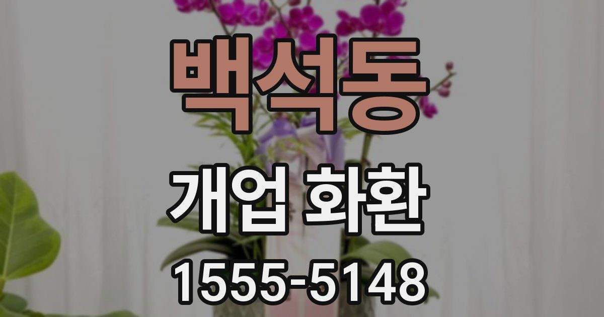 백석동 개업 화환
