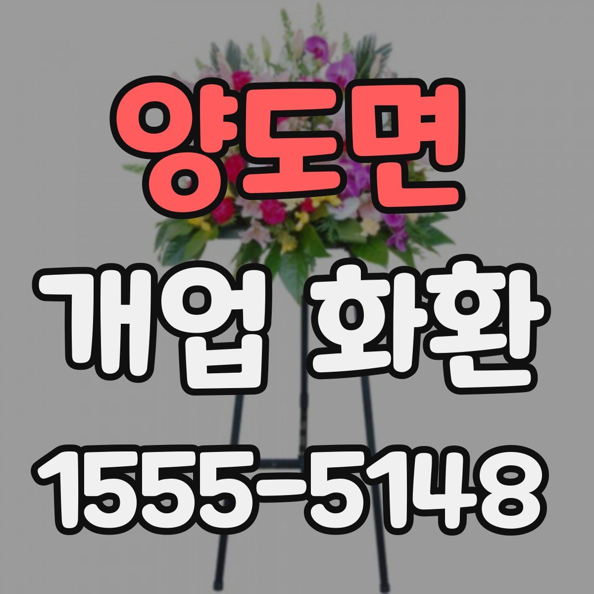 양도면 개업 화환