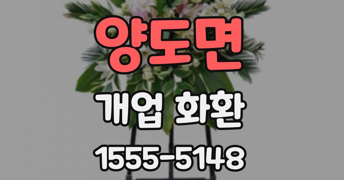 양도면 개업 화환