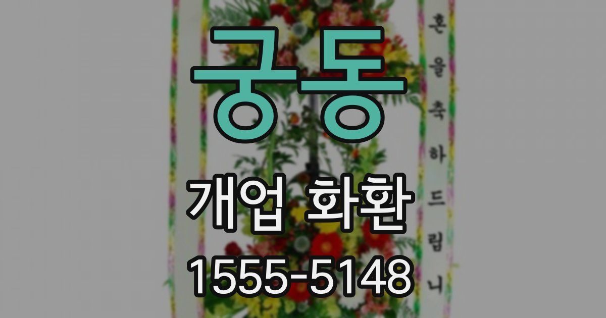 궁동 개업 화환