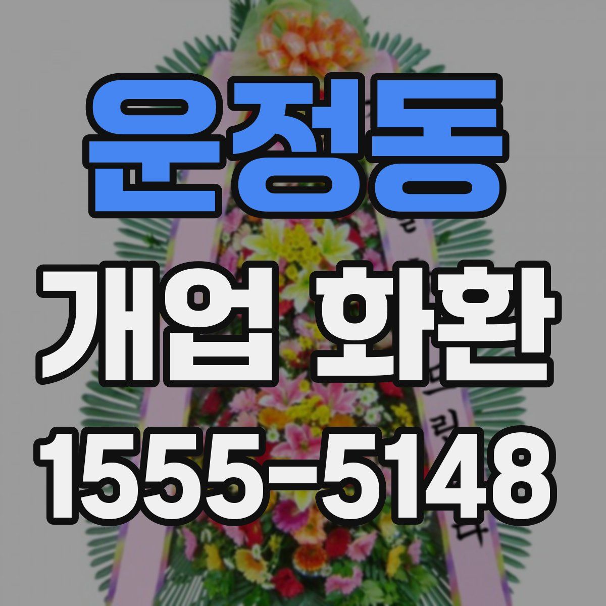 운정동 개업 화환