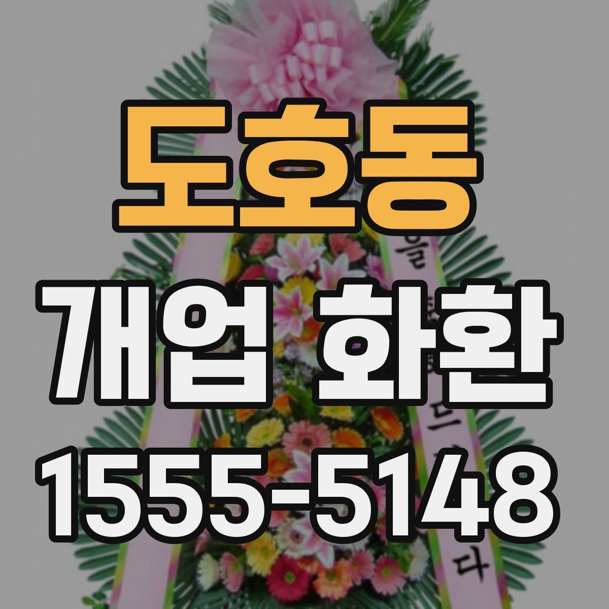 도호동 개업 화환