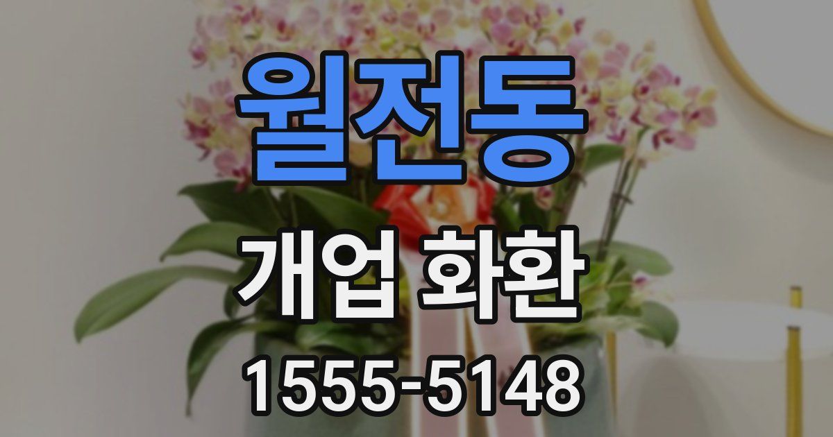 월전동 개업 화환