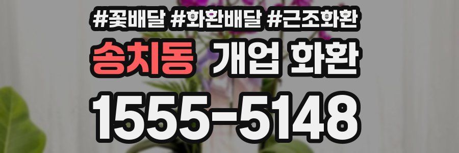 송치동 개업 화환