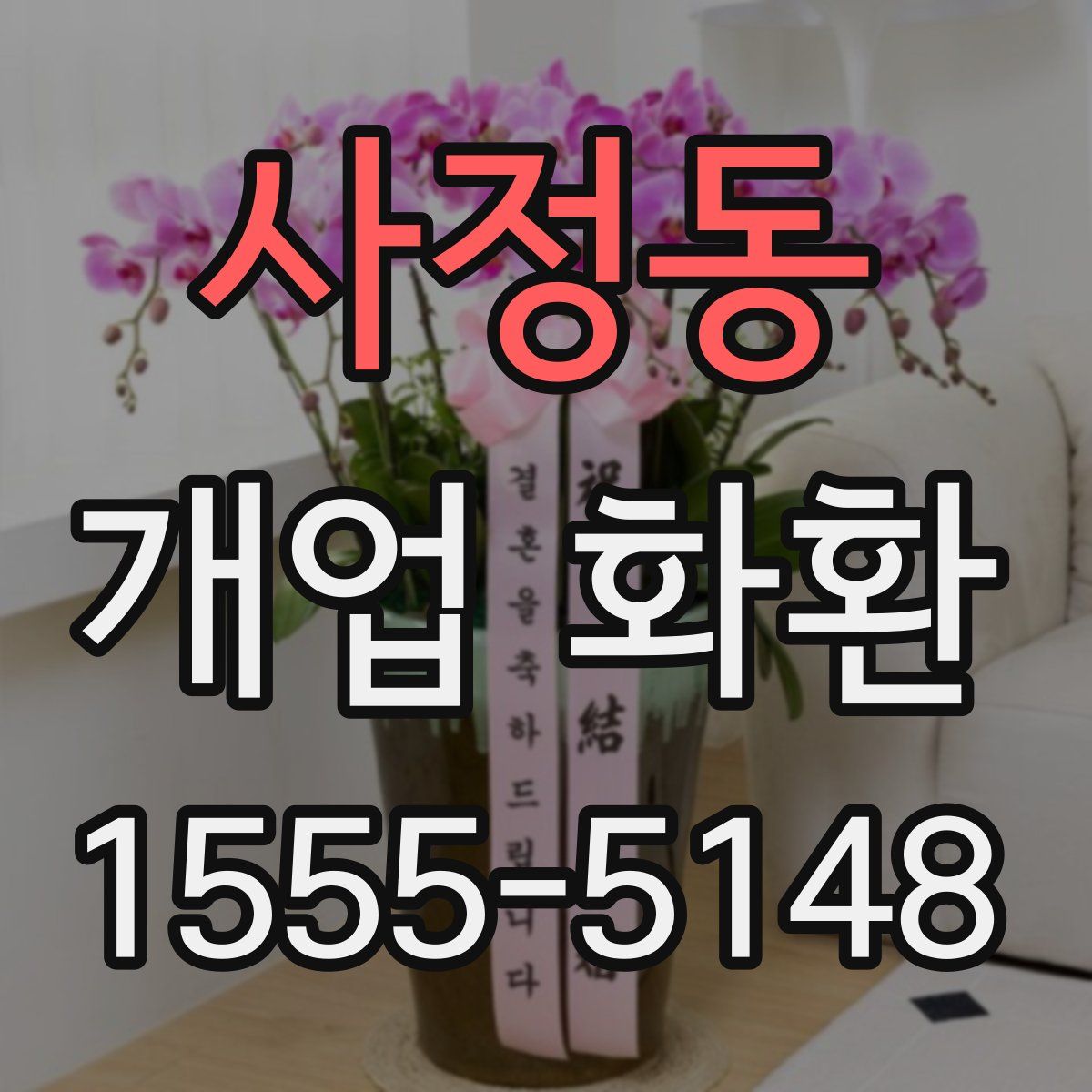 사정동 개업 화환