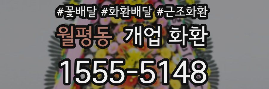월평동 개업 화환