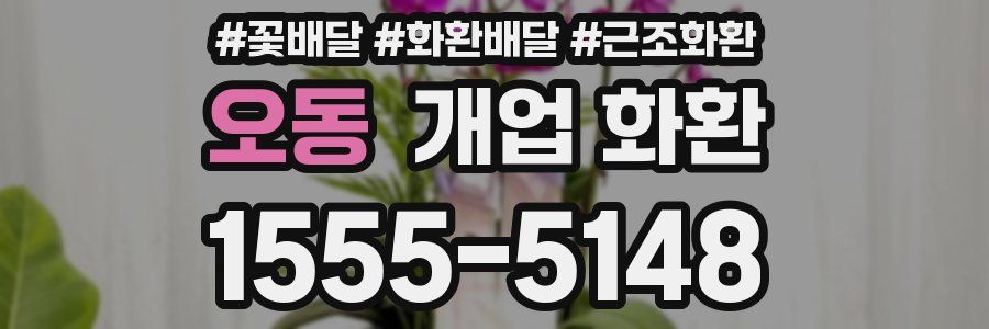 오동 개업 화환