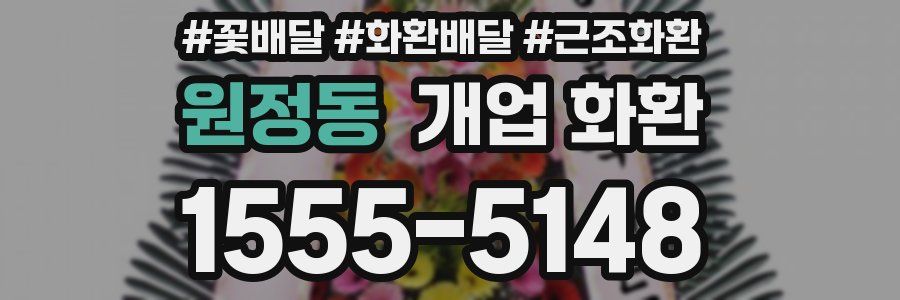 원정동 개업 화환