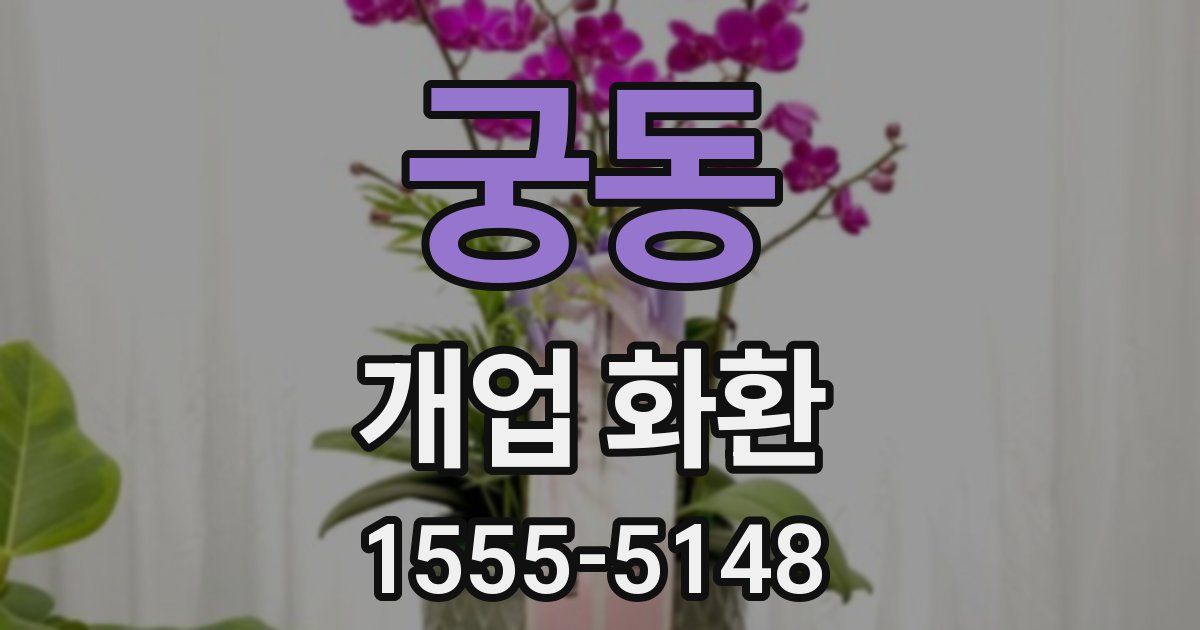궁동 개업 화환