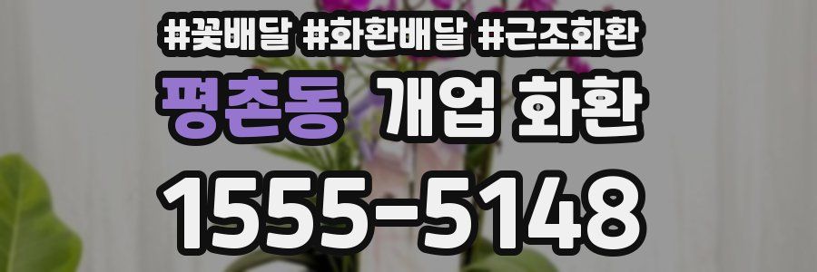 평촌동 개업 화환