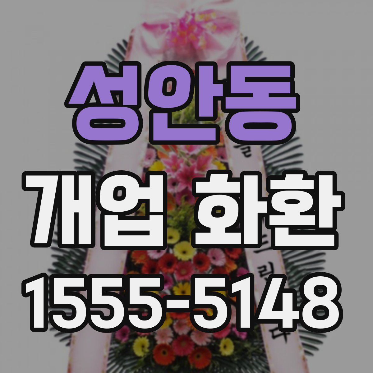 성안동 개업 화환