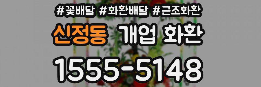 신정동 개업 화환