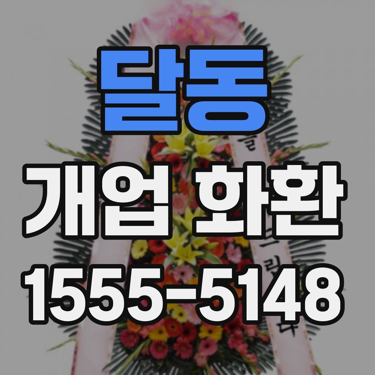 달동 개업 화환