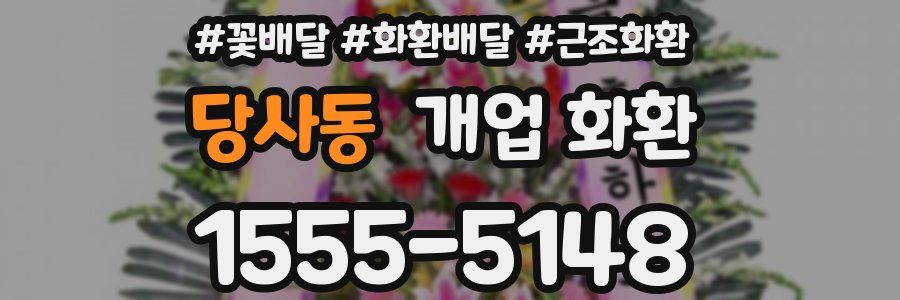 당사동 개업 화환