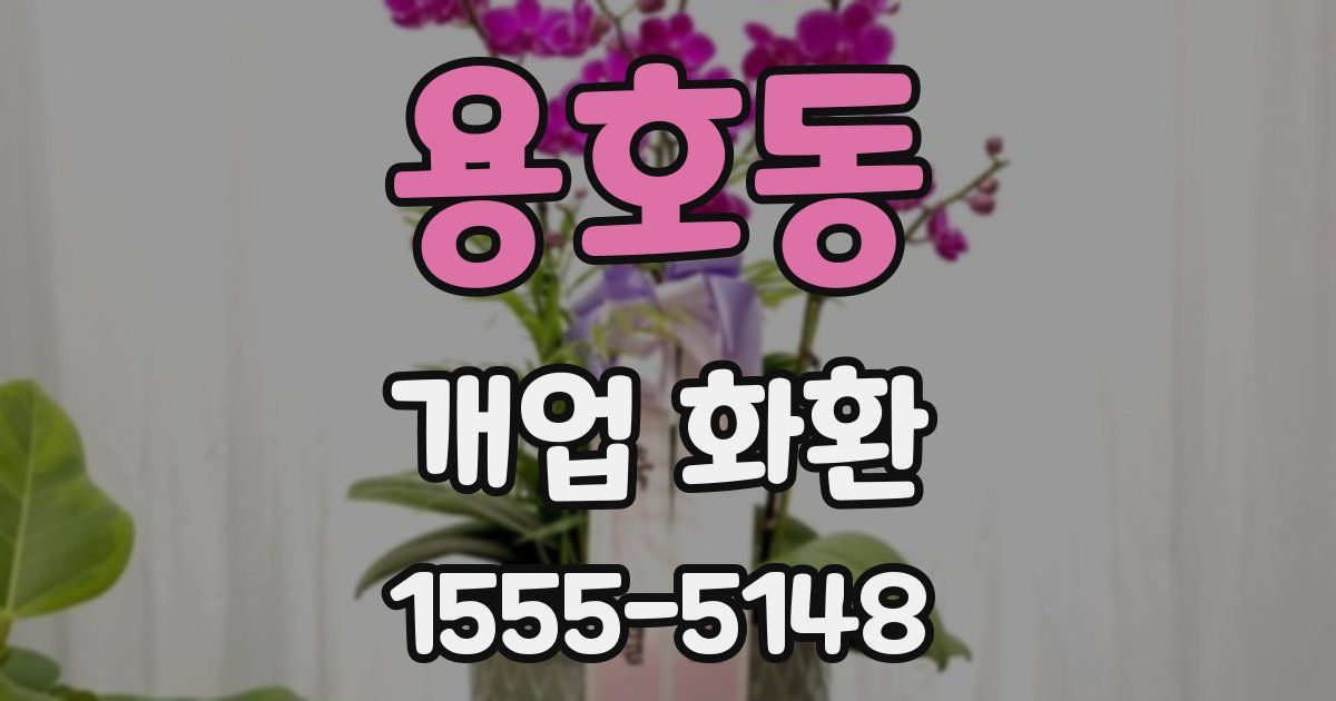 용호동 개업 화환