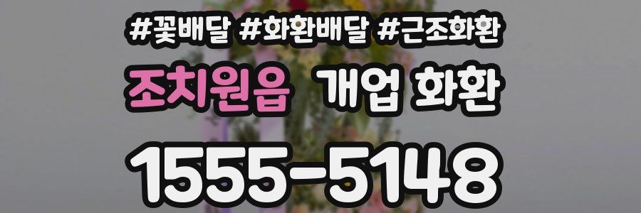 조치원읍 개업 화환