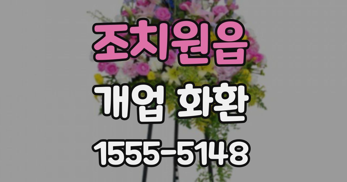 조치원읍 개업 화환