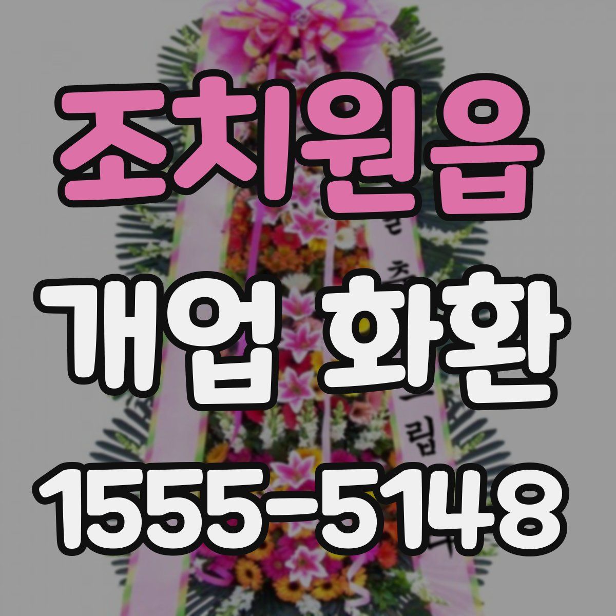 조치원읍 개업 화환