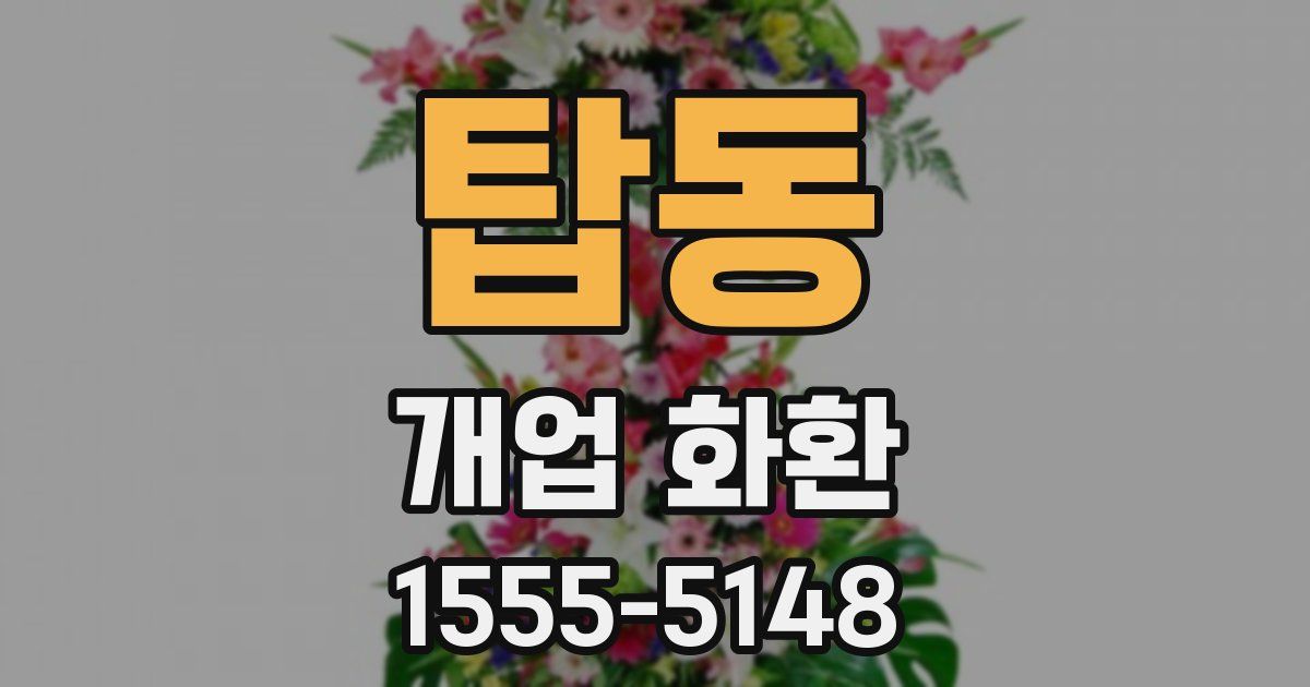 탑동 개업 화환