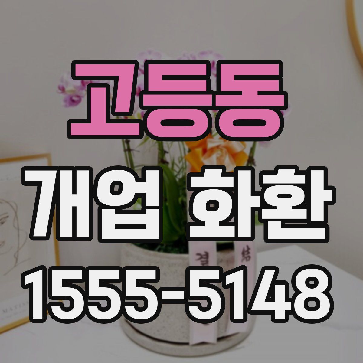 고등동 개업 화환